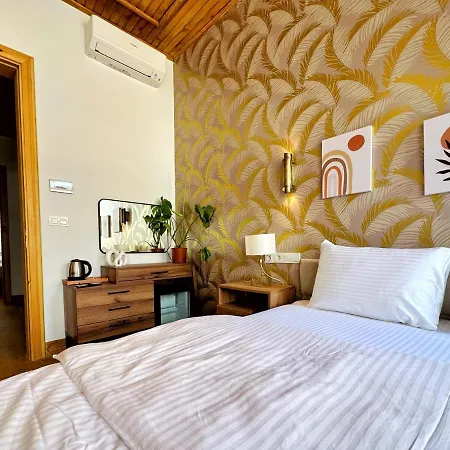 Refurbished Triplex In Taksim Apartment Istanbul