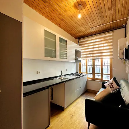 Refurbished Triplex In Taksim شقة *