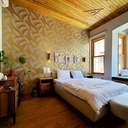 Refurbished Triplex In Taksim Appartement Istanboel