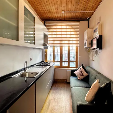 Refurbished Triplex In Taksim